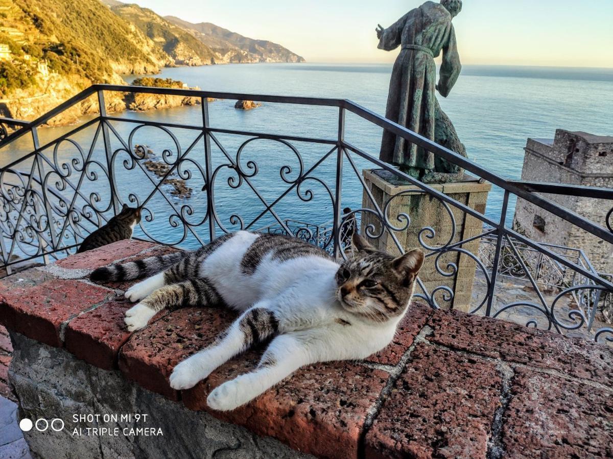 Il Balconcino Sul Carugio Διαμέρισμα Μοντερόσο αλ Μάρε Εξωτερικό φωτογραφία